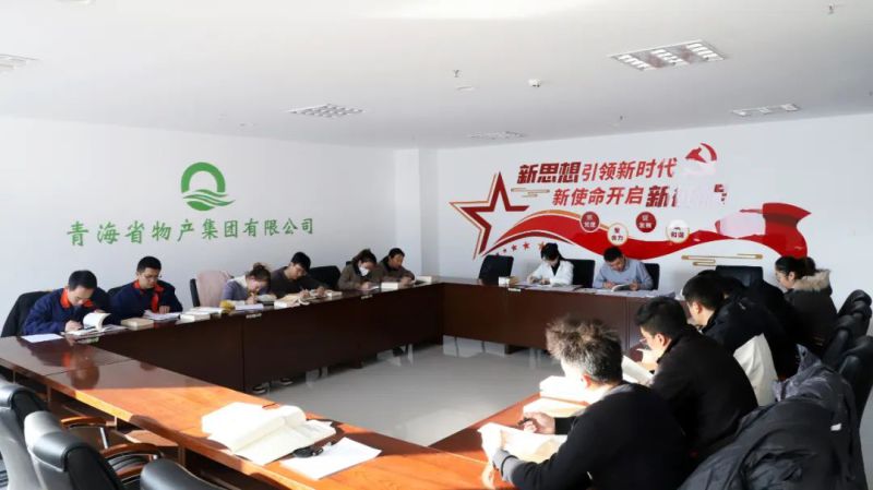凝心鑄魂學(xué)思想 充電蓄能促提升——集團團委組織開展團員和青年主題教育“挺膺擔當”專題集中學(xué)習(xí)