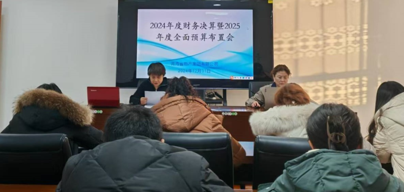 省物產(chǎn)集團(tuán)召開2024年度財務(wù)決算暨2025年度全面預(yù)算工作布置會